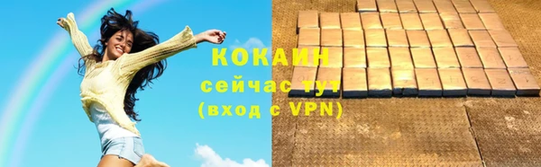 молекула духа Бронницы