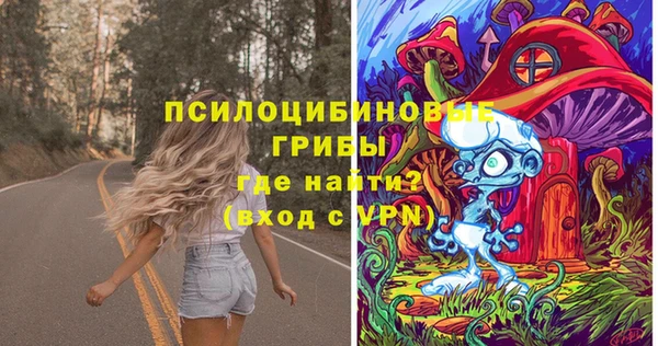 стафф Бородино