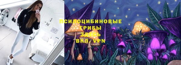 молекула духа Бронницы