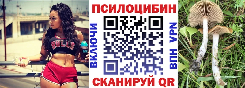 Псилоцибиновые грибы Magic Shrooms  закладки  Безенчук 